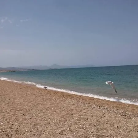Estrella Del Mar Dénia